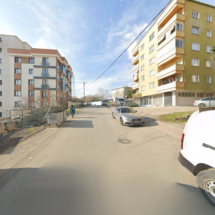 Fotoğraf 12