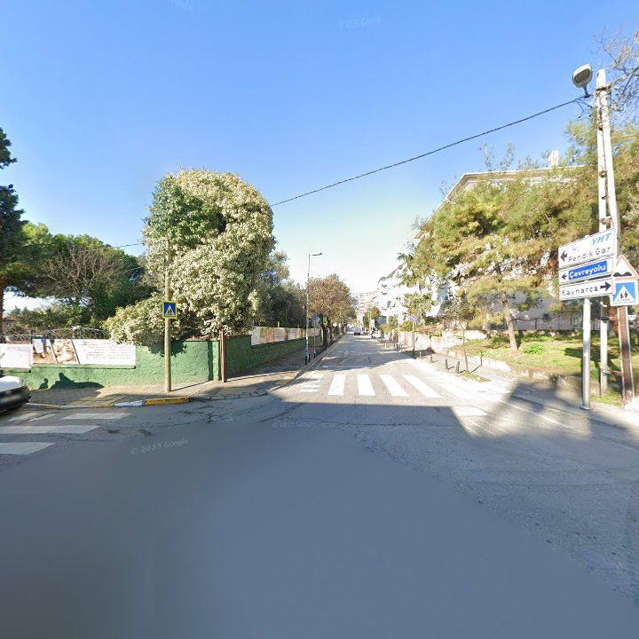 Fotoğraf 8