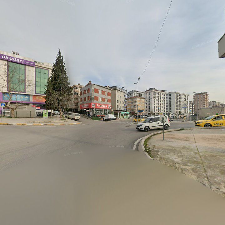 Fotoğraf 10