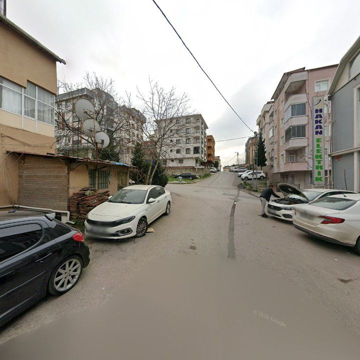 Fotoğraf 11