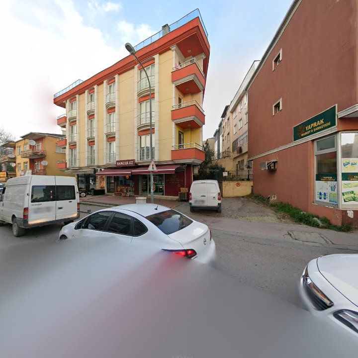 Fotoğraf 14