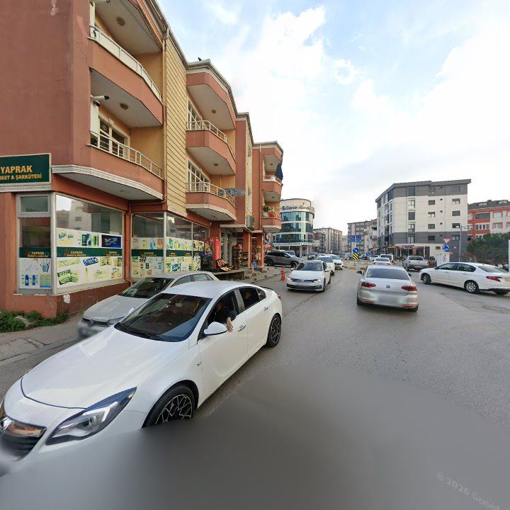 Fotoğraf 15