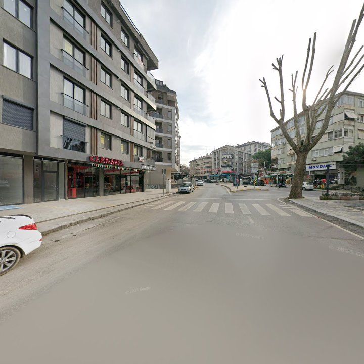 Fotoğraf 6