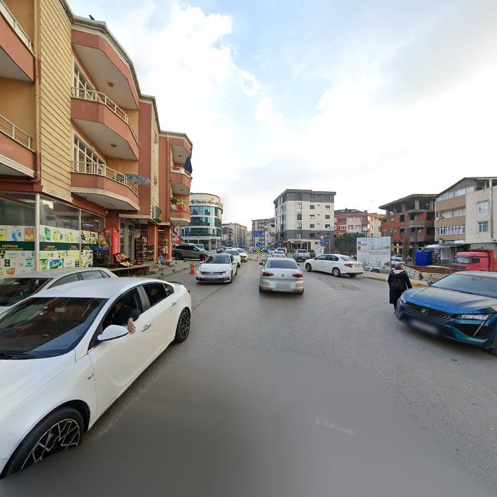 Fotoğraf 10