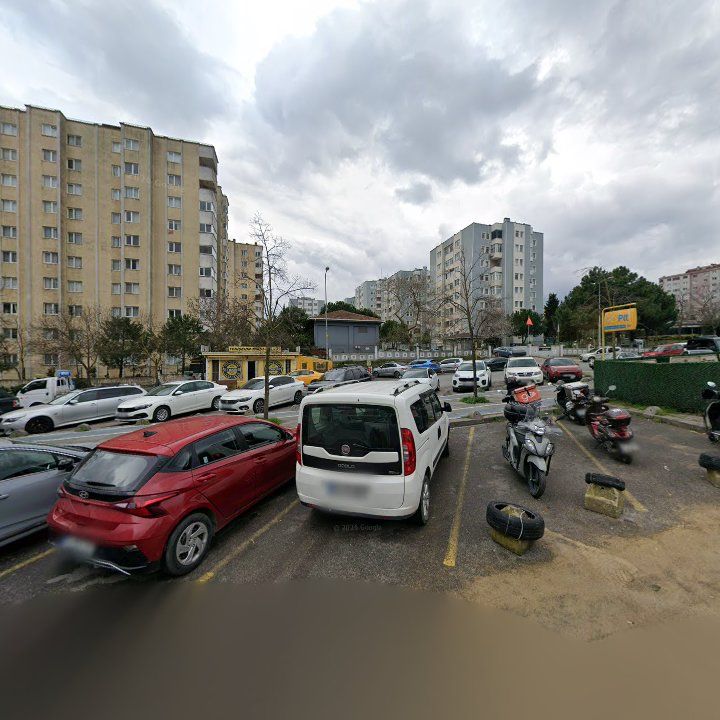 Fotoğraf 12