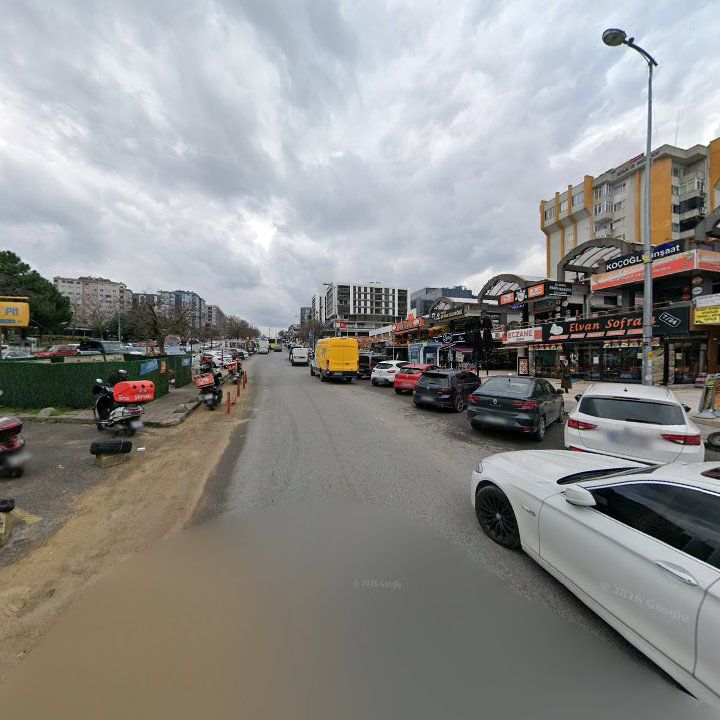 Fotoğraf 9