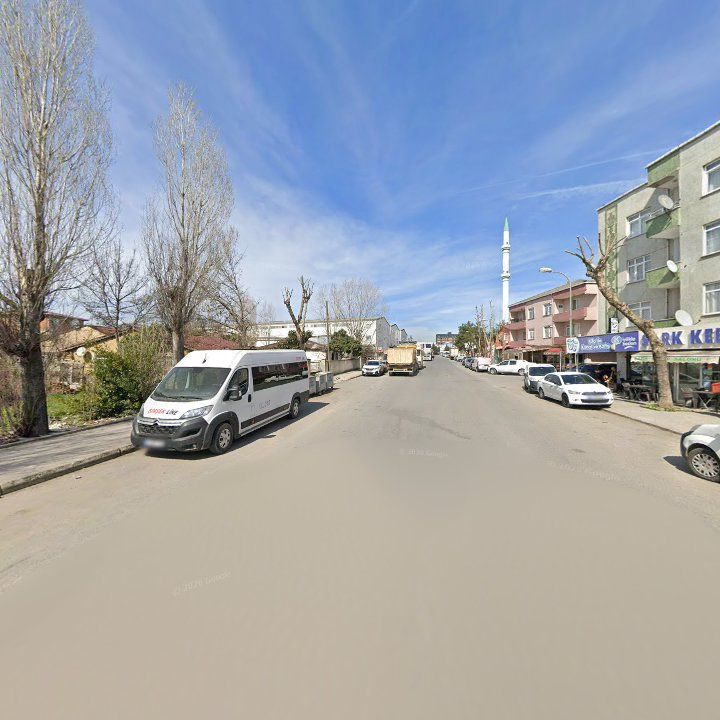 Fotoğraf 10