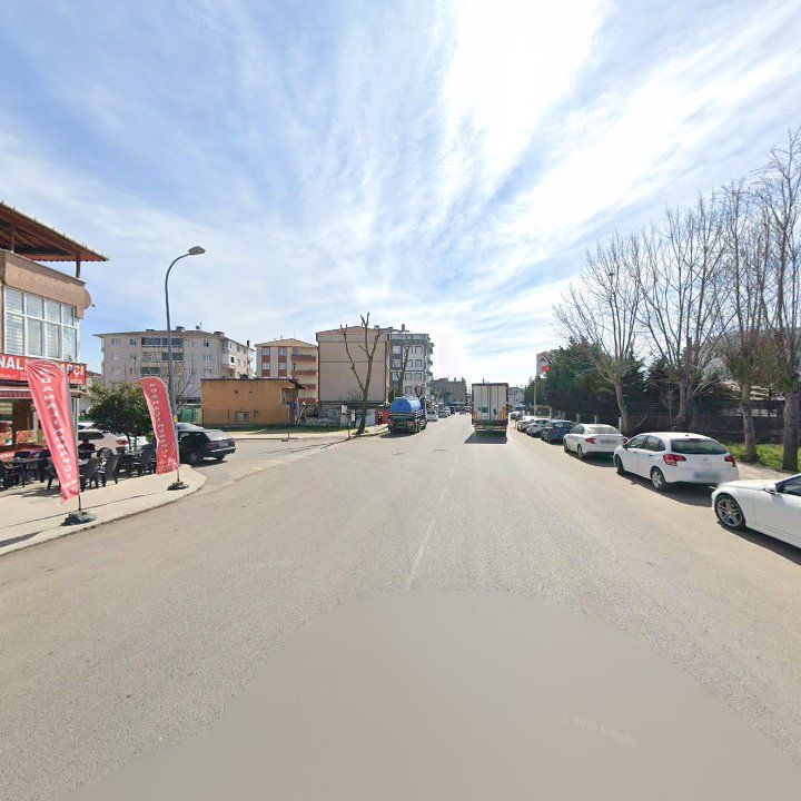 Fotoğraf 8