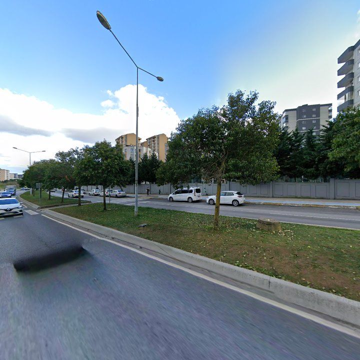 Fotoğraf 12