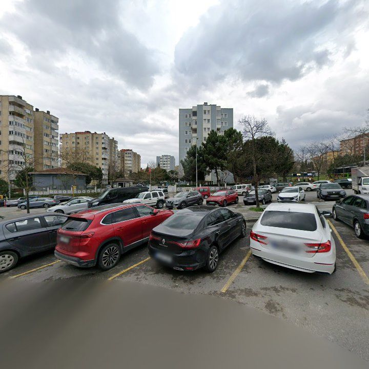 Fotoğraf 12