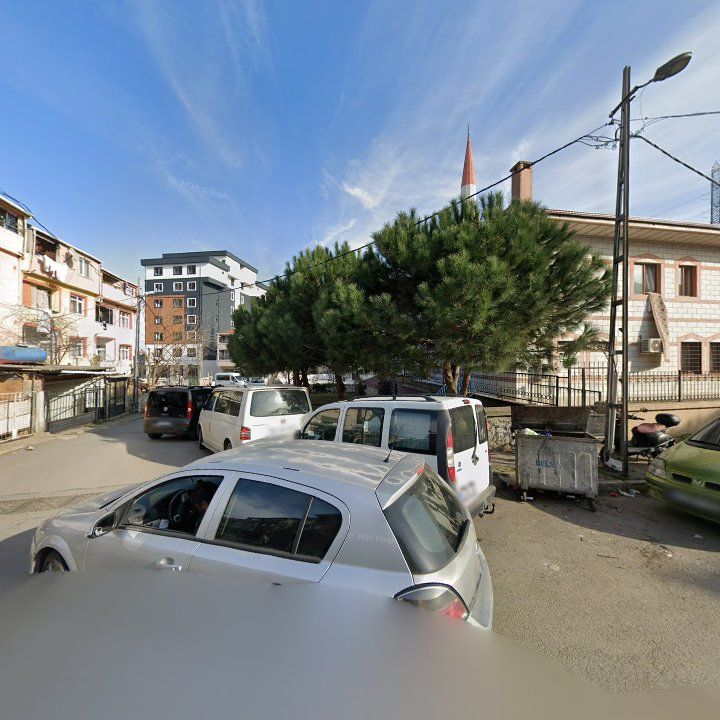 Fotoğraf 8