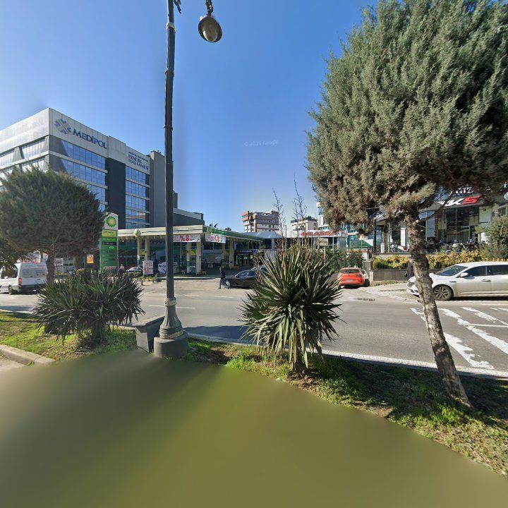 Fotoğraf 10