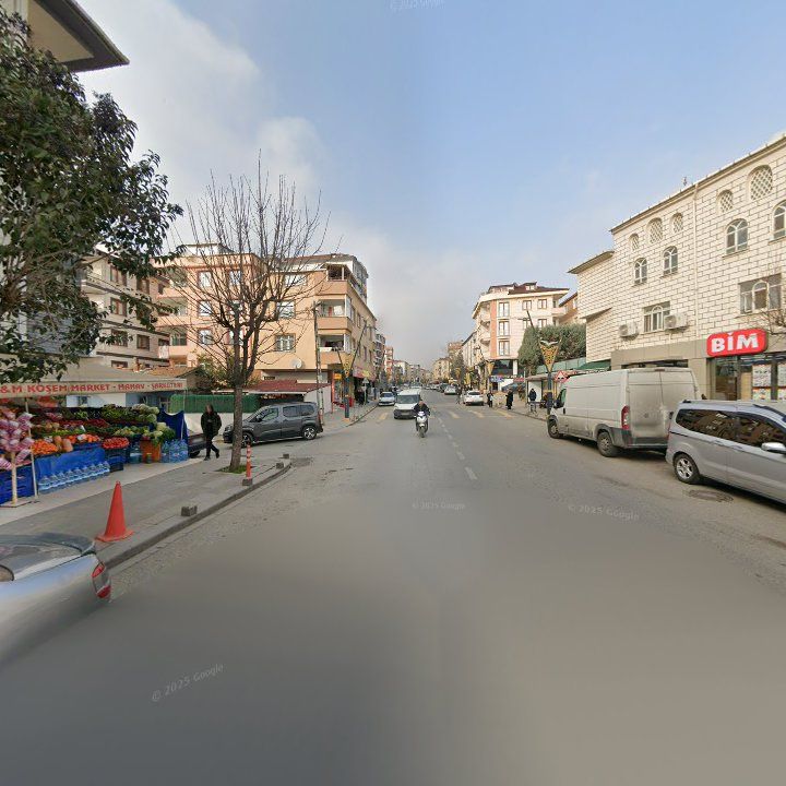 Fotoğraf 3