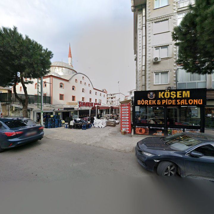 Fotoğraf 5