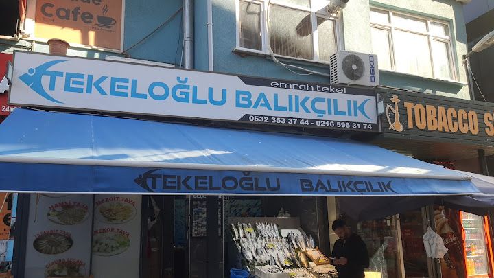 Tekeloğlu Balıkçılık