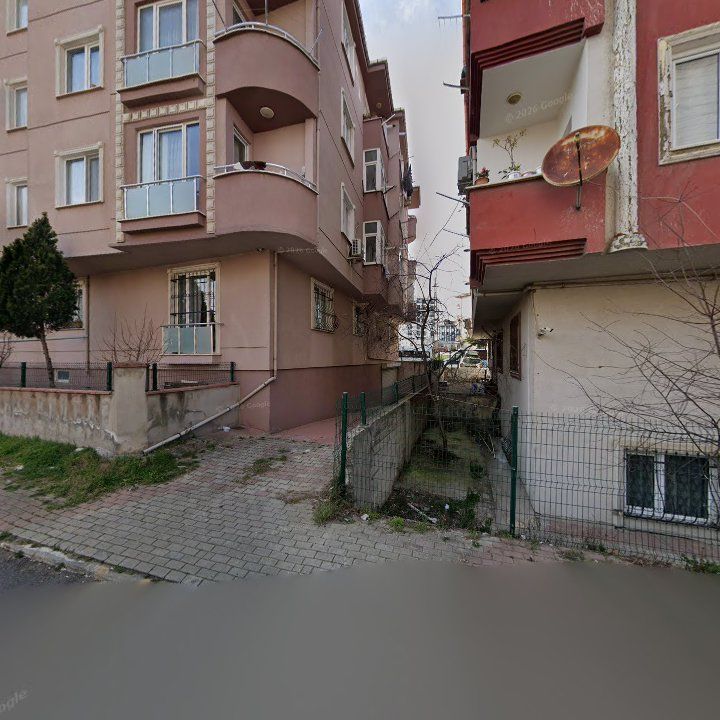 Fotoğraf 9