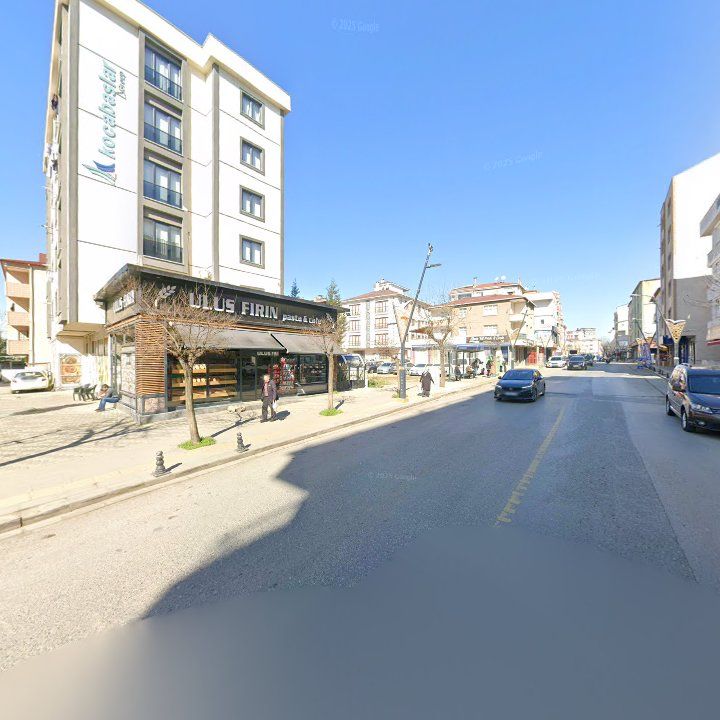 Fotoğraf 7