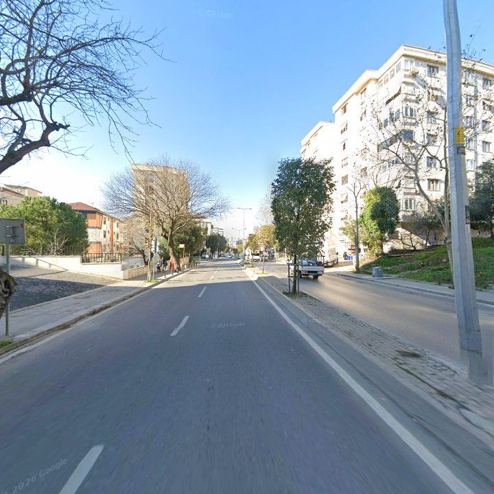 Fotoğraf 12