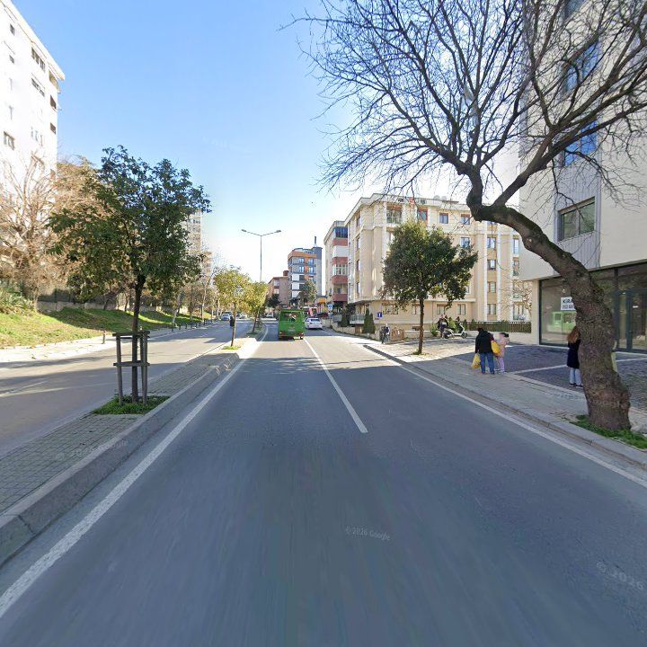 Fotoğraf 14