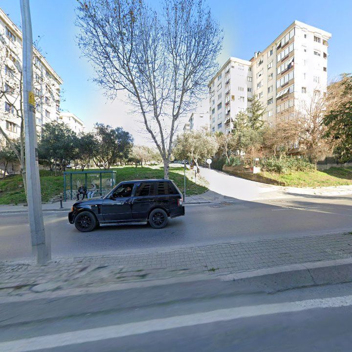 Fotoğraf 13