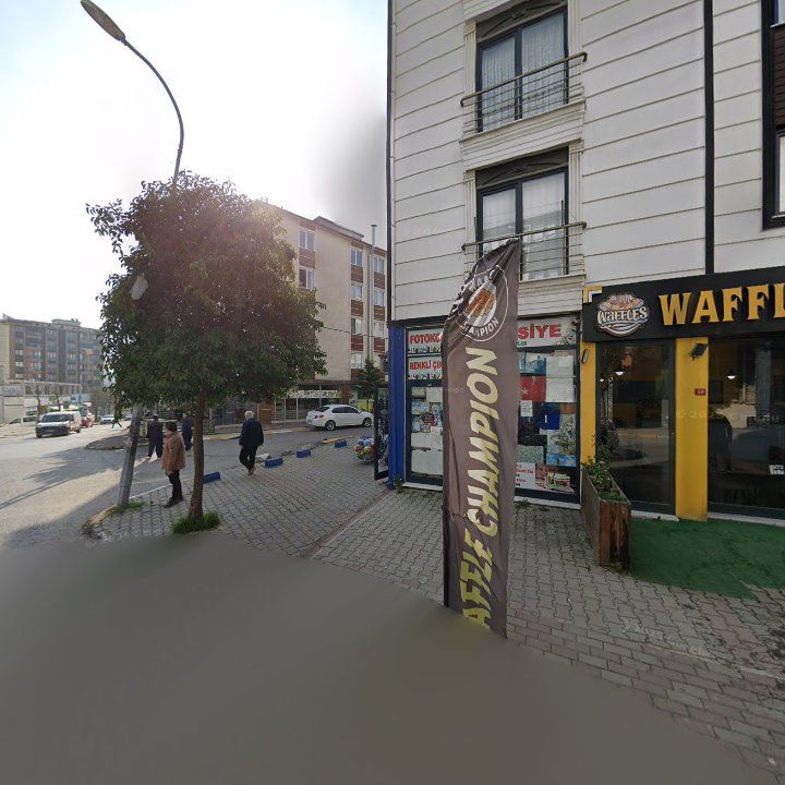 Fotoğraf 8