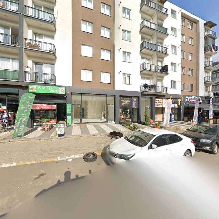 Fotoğraf 9