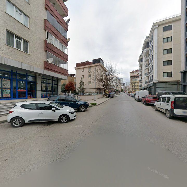 Fotoğraf 9
