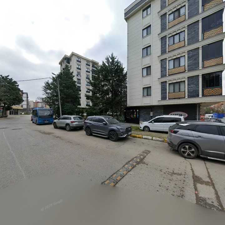 Fotoğraf 8