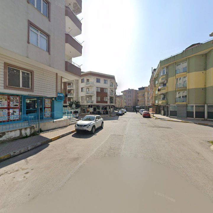 Fotoğraf 11