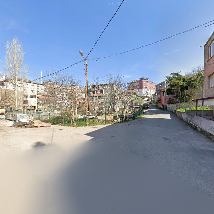 Fotoğraf 7