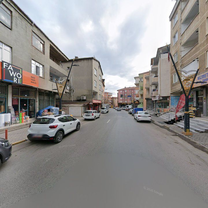Fotoğraf 11