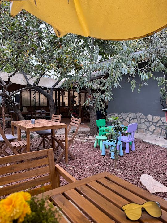 Zeytin Ağacı Kafe