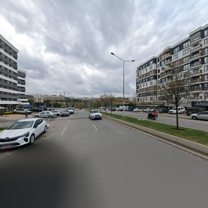 Fotoğraf 7
