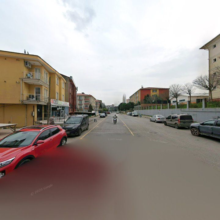 Fotoğraf 8