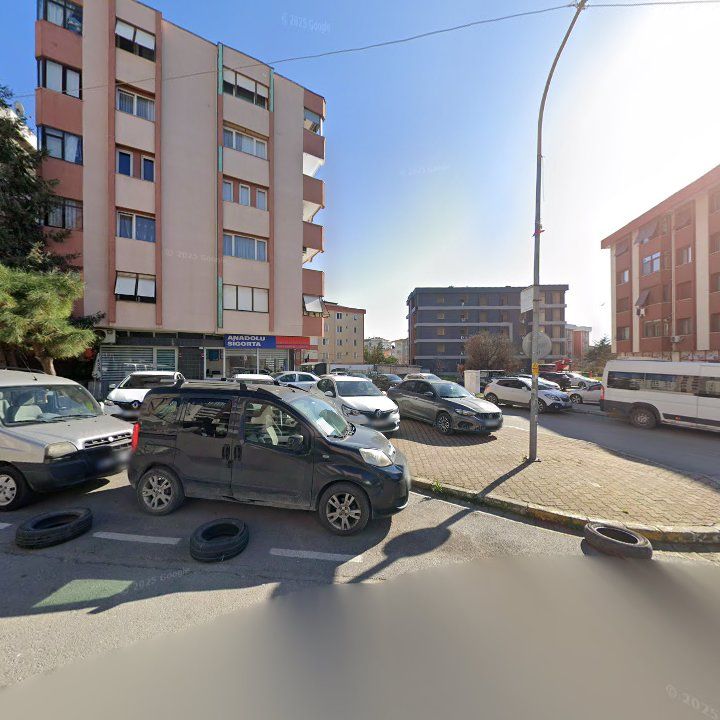 Fotoğraf 8