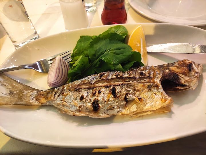 Fotoğraf 23