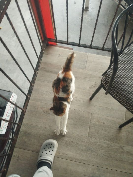 Yorum fotoğrafı 1