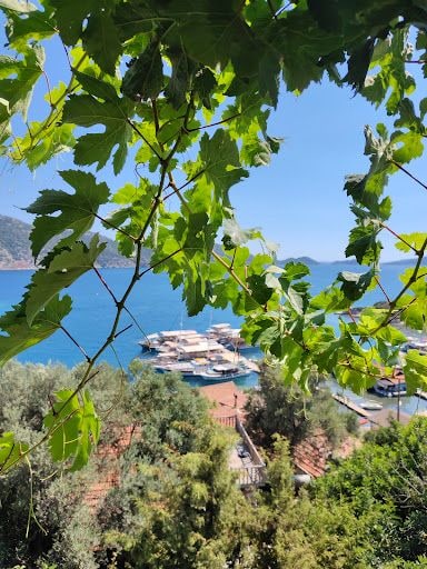 Yorum fotoğrafı 2