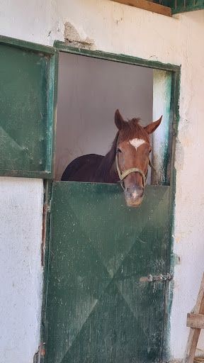 Fotoğraf 16