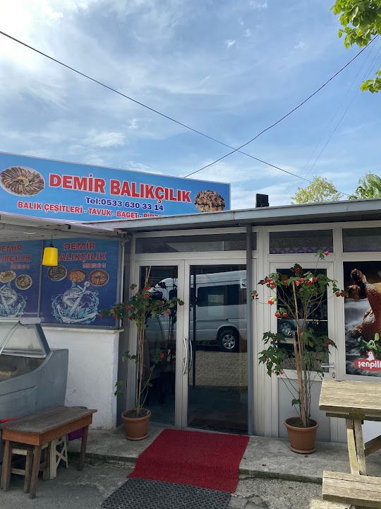 Demir Balıkçılık