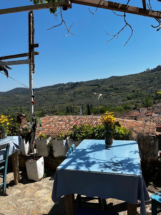 Fotoğraf 35