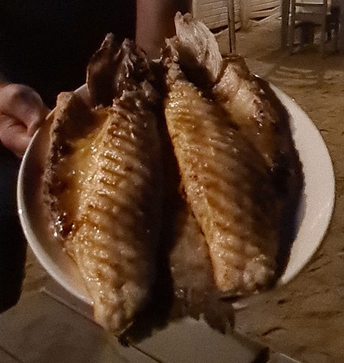 Fotoğraf 25