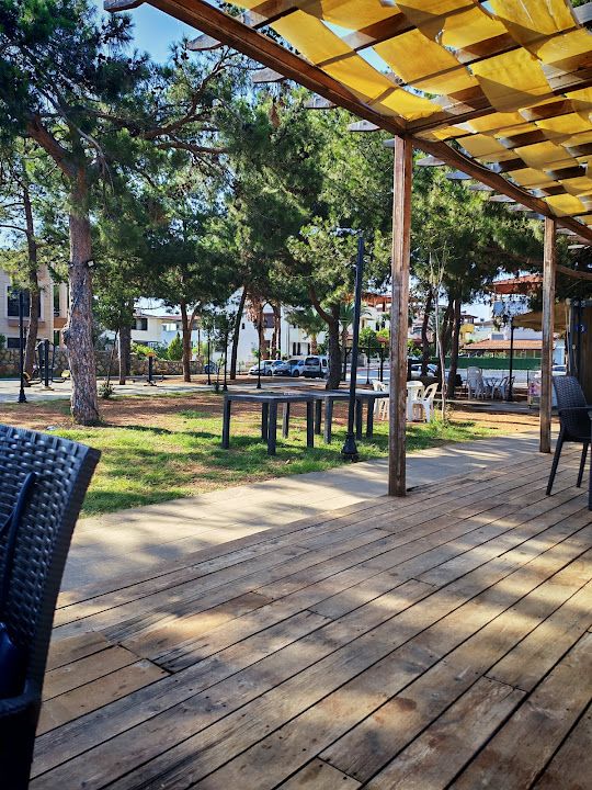 Yorum fotoğrafı 2