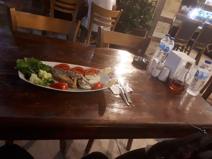 Fotoğraf 15