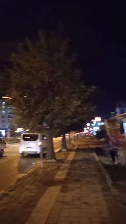 Fotoğraf 12