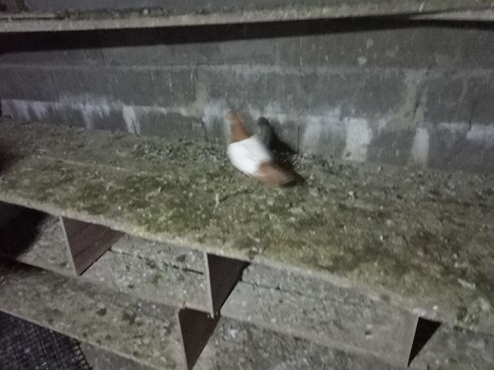 Yorum fotoğrafı 4
