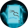 PİKARUN ExE