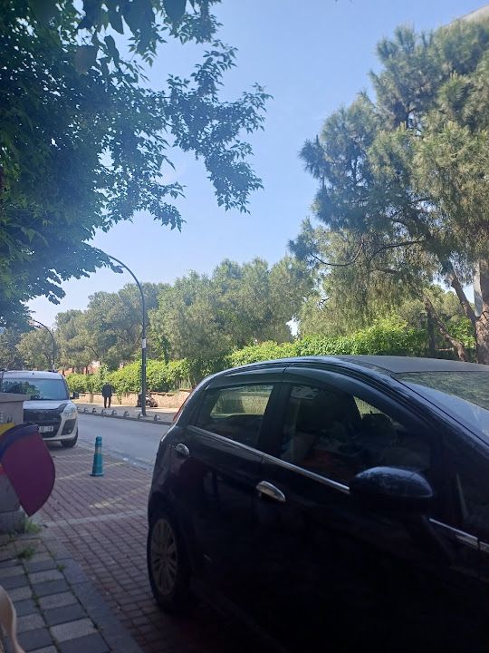 Yorum fotoğrafı 3