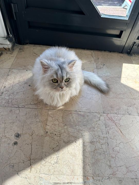 Fotoğraf 12