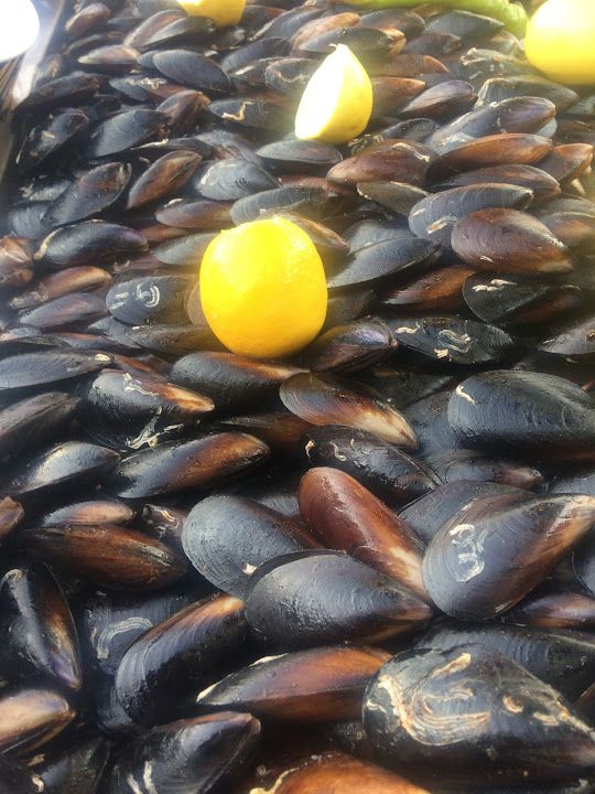 Fotoğraf 27